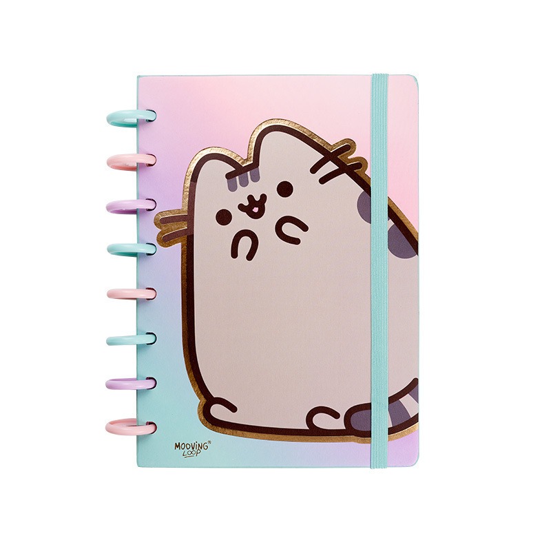 CUAD 16x21 T/D INTEL. 80hj. PUSHEEN MOOVING